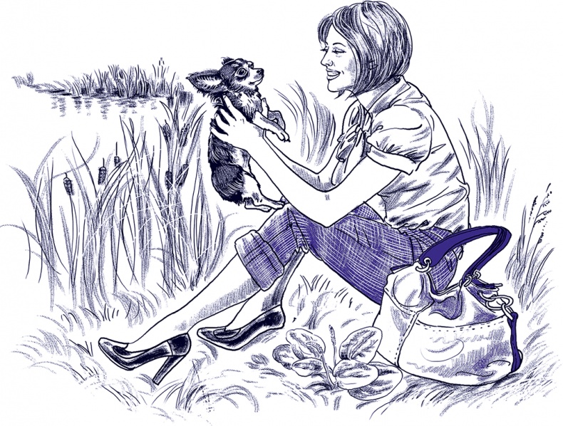 Иллюстрация к книге — Правдивые сказки про собак [i_026.jpg]