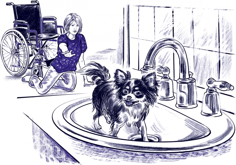 Иллюстрация к книге — Правдивые сказки про собак [i_028.jpg]