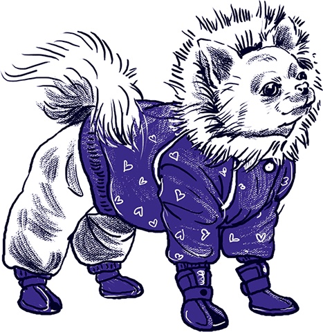 Иллюстрация к книге — Правдивые сказки про собак [i_031.jpg]