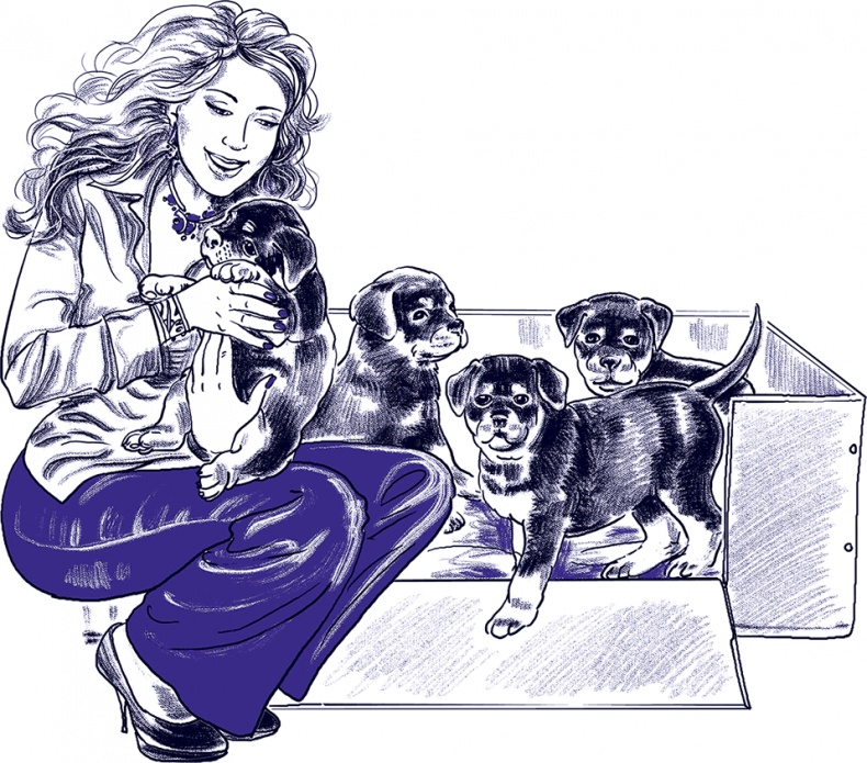 Иллюстрация к книге — Правдивые сказки про собак [i_036.jpg]