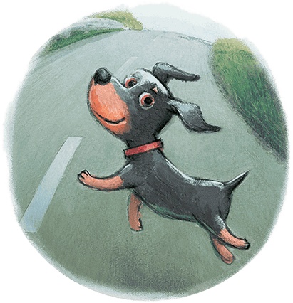 Иллюстрация к книге — Щенок Питер и несгрызаемая кость [i_001.jpg]