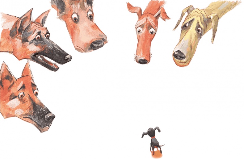 Иллюстрация к книге — Щенок Питер и несгрызаемая кость [i_003.jpg]