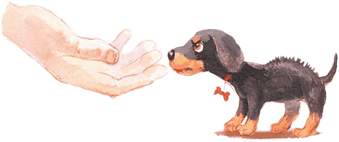 Иллюстрация к книге — Щенок Питер и несгрызаемая кость [i_005.jpg]