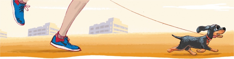 Иллюстрация к книге — Щенок Питер и несгрызаемая кость [i_008.jpg]