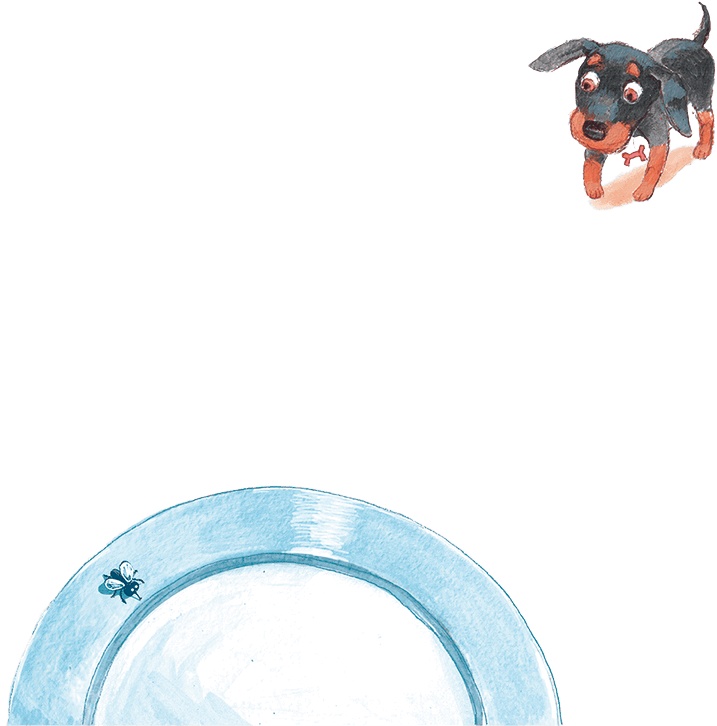 Иллюстрация к книге — Щенок Питер и несгрызаемая кость [i_009.jpg]