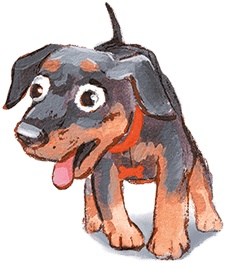 Иллюстрация к книге — Щенок Питер и несгрызаемая кость [i_011.jpg]