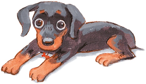 Иллюстрация к книге — Щенок Питер и несгрызаемая кость [i_014.jpg]