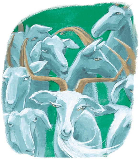 Иллюстрация к книге — Щенок Питер и несгрызаемая кость [i_016.jpg]