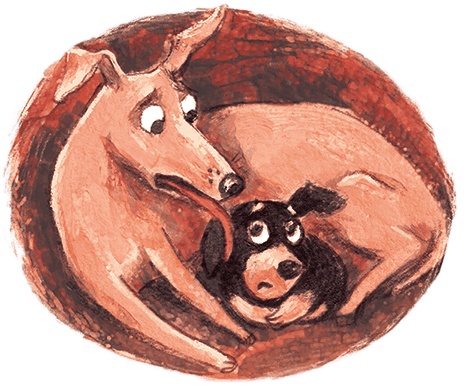 Иллюстрация к книге — Щенок Питер и несгрызаемая кость [i_027.jpg]