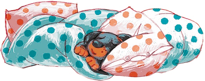 Иллюстрация к книге — Щенок Питер и несгрызаемая кость [i_028.jpg]