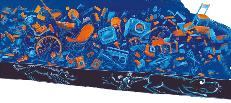 Иллюстрация к книге — Щенок Питер и несгрызаемая кость [i_031.jpg]