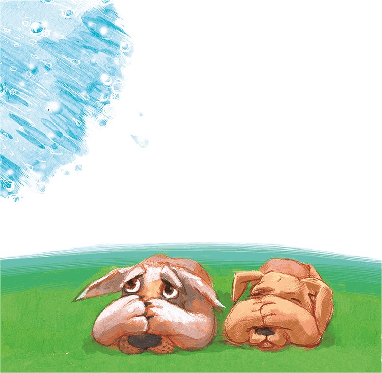 Иллюстрация к книге — Щенок Питер и несгрызаемая кость [i_036.jpg]