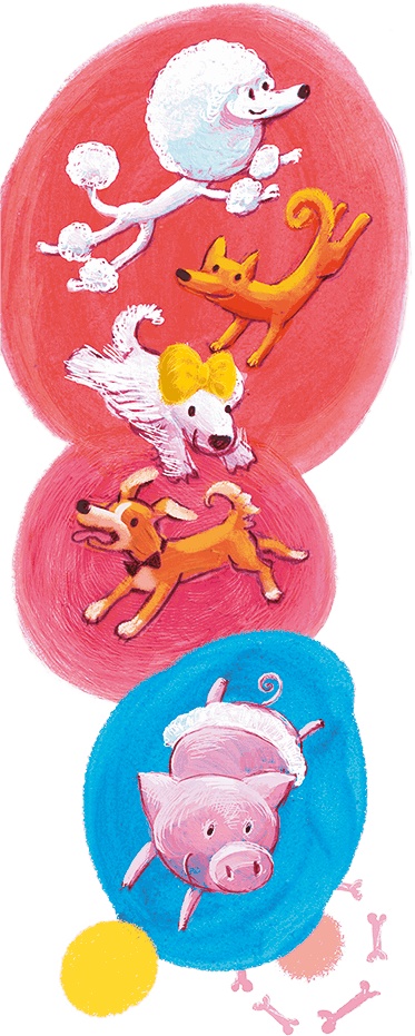 Иллюстрация к книге — Щенок Питер и несгрызаемая кость [i_048.jpg]