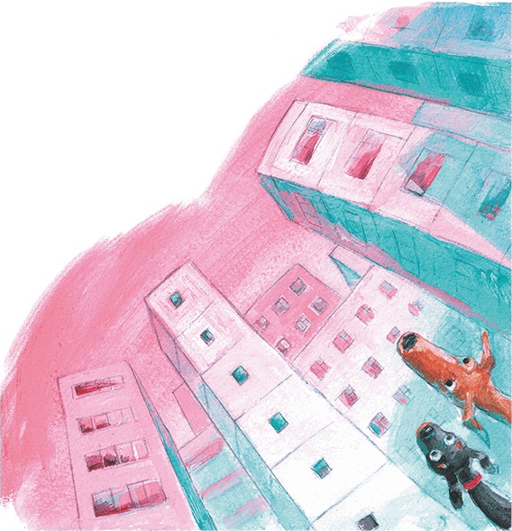 Иллюстрация к книге — Щенок Питер и несгрызаемая кость [i_055.jpg]