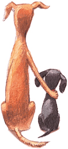 Иллюстрация к книге — Щенок Питер и несгрызаемая кость [i_058.jpg]