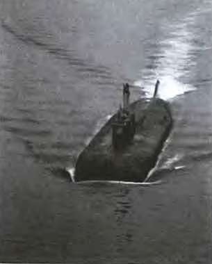 Иллюстрация к книге — АПРК &quot;Курск&quot;. 10 лет спустя. Факты и версии [i_005.jpg]