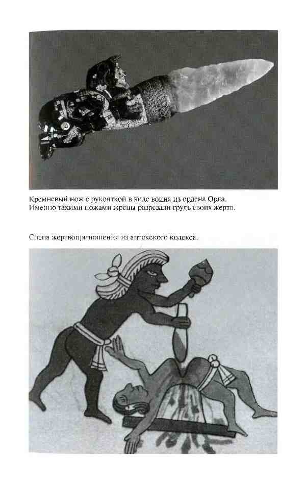 Иллюстрация к книге — Повседневная жизнь ацтеков накануне испанского завоевания [i_007.jpg]