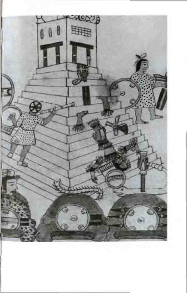 Иллюстрация к книге — Повседневная жизнь ацтеков накануне испанского завоевания [i_009.jpg]