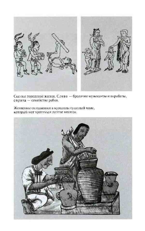 Иллюстрация к книге — Повседневная жизнь ацтеков накануне испанского завоевания [i_020.jpg]