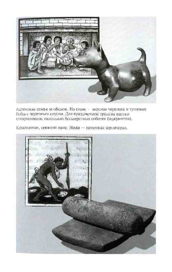 Иллюстрация к книге — Повседневная жизнь ацтеков накануне испанского завоевания [i_021.jpg]