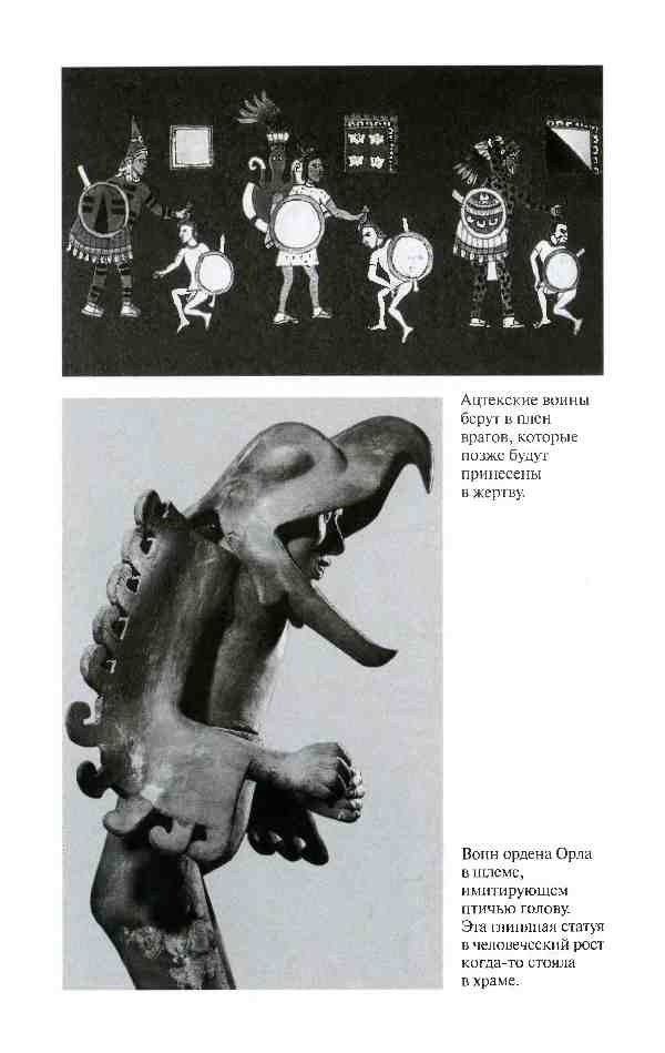 Иллюстрация к книге — Повседневная жизнь ацтеков накануне испанского завоевания [i_028.jpg]