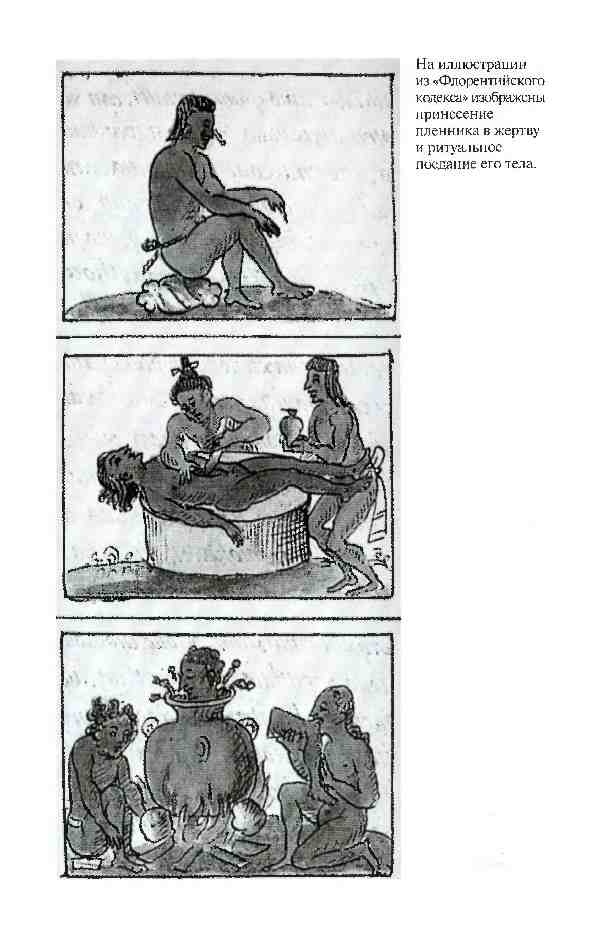 Иллюстрация к книге — Повседневная жизнь ацтеков накануне испанского завоевания [i_030.jpg]