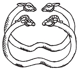 Иллюстрация к книге — Персы и мидяне. Подданные империи Ахеменидов [pic_36.jpg]