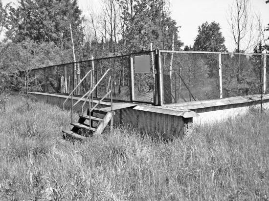 Иллюстрация к книге — Чернобыль. Реальный мир [_02_photo.jpg]