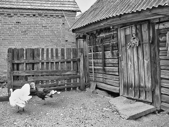 Иллюстрация к книге — Чернобыль. Реальный мир [_09_photo.jpg]