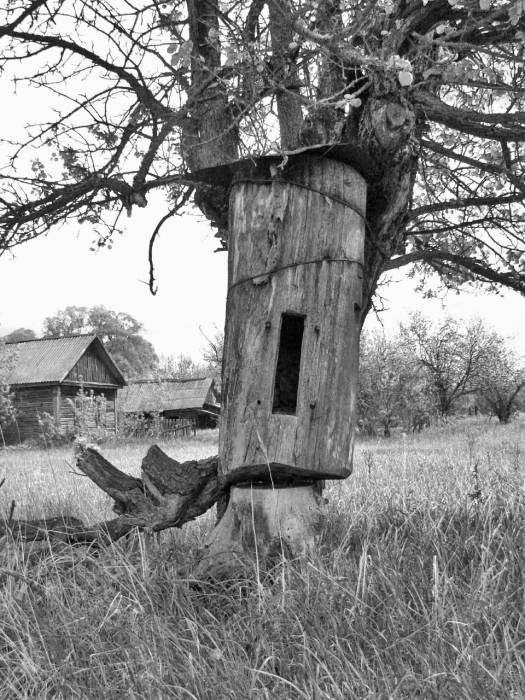 Иллюстрация к книге — Чернобыль. Реальный мир [_18_photo.jpg]