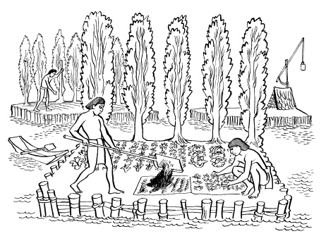 Иллюстрация к книге — Ацтеки, майя, инки. Великие царства древней Америки [i_018.jpg]