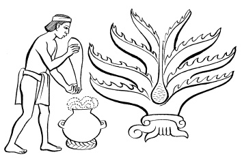 Иллюстрация к книге — Ацтеки, майя, инки. Великие царства древней Америки [i_040.jpg]