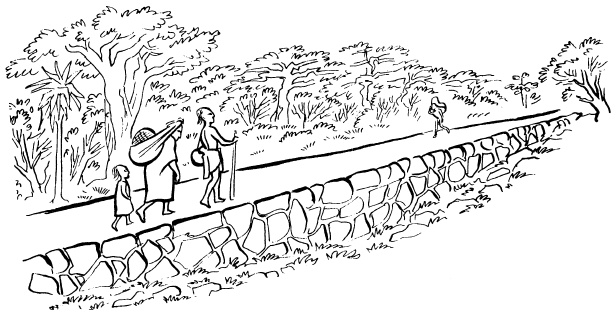 Иллюстрация к книге — Ацтеки, майя, инки. Великие царства древней Америки [i_171.jpg]