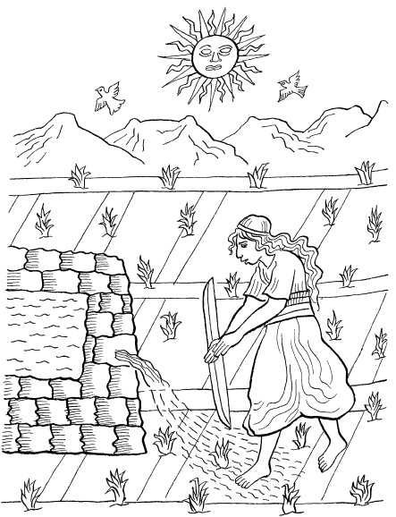 Иллюстрация к книге — Ацтеки, майя, инки. Великие царства древней Америки [i_213.jpg]