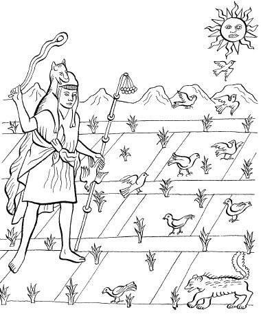 Иллюстрация к книге — Ацтеки, майя, инки. Великие царства древней Америки [i_217.jpg]