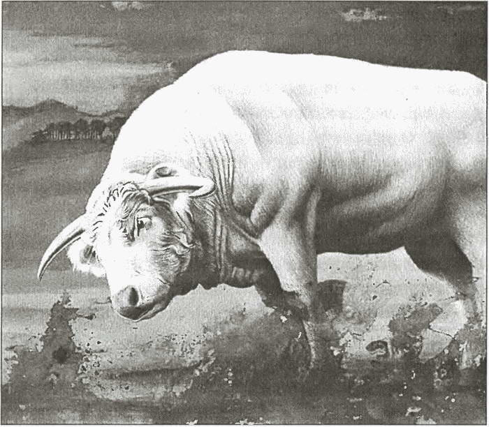 Иллюстрация к книге — Тайны древних бриттов [i_053.jpg]