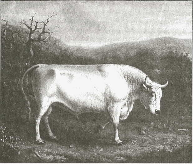 Иллюстрация к книге — Тайны древних бриттов [i_068.jpg]