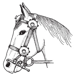 Иллюстрация к книге — Кельты. Воины и маги [i_007.jpg]