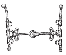 Иллюстрация к книге — Кельты. Воины и маги [i_008.jpg]