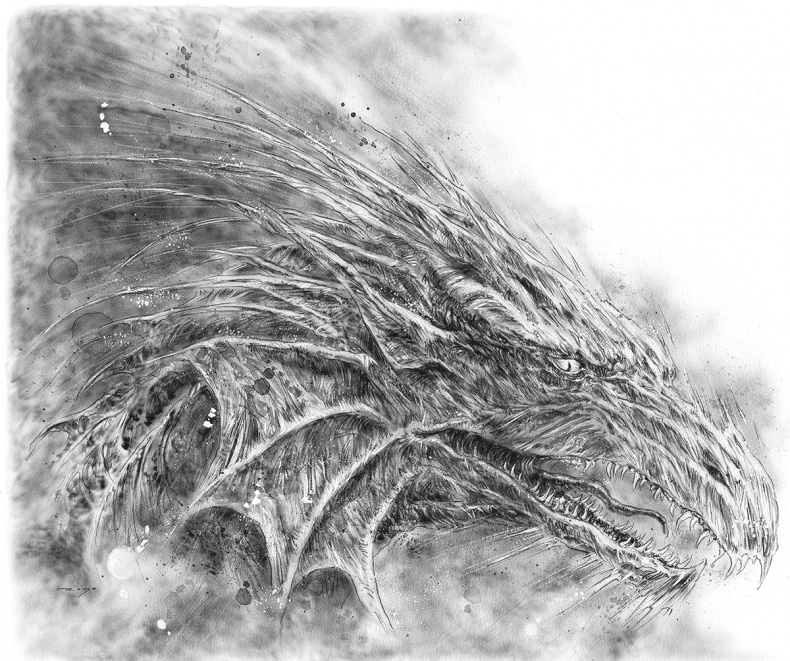 Иллюстрация к книге — Ледяной дракон [i_001.jpg]