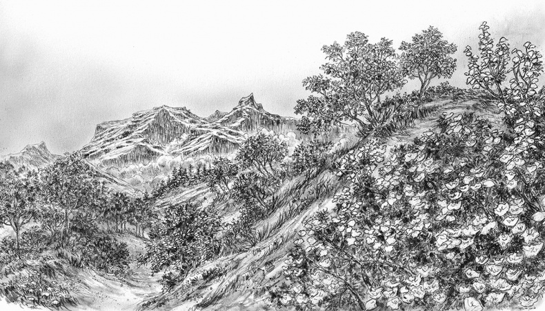 Иллюстрация к книге — Ледяной дракон [i_029.jpg]