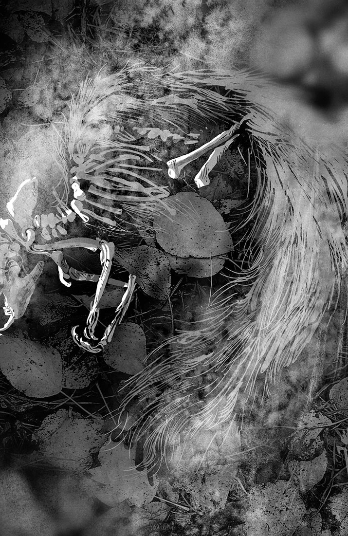 Иллюстрация к книге — Шесть серебряных пуль [i_001.jpg]