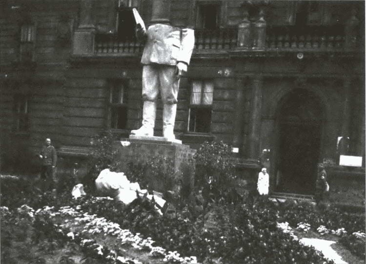 Иллюстрация к книге — Разделяй и властвуй. Нацистская оккупационная политика [i_016.jpg]