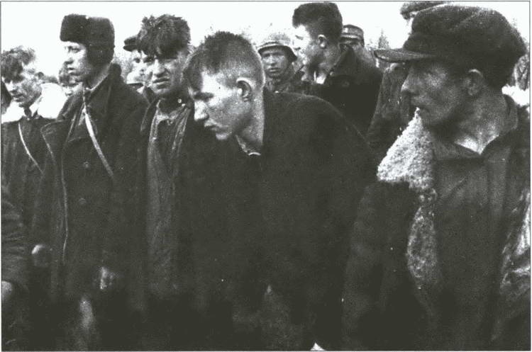 Иллюстрация к книге — Разделяй и властвуй. Нацистская оккупационная политика [i_021.jpg]