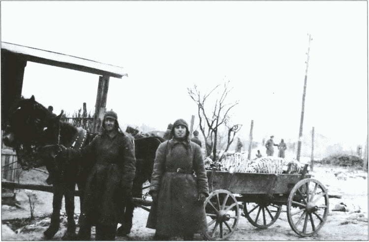 Иллюстрация к книге — Разделяй и властвуй. Нацистская оккупационная политика [i_024.jpg]