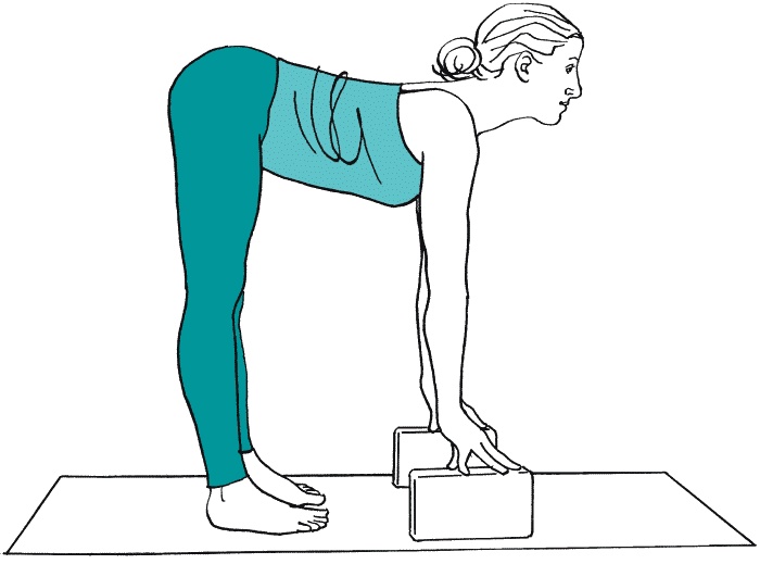 Иллюстрация к книге — Йога для здоровья груди [_040.jpg]