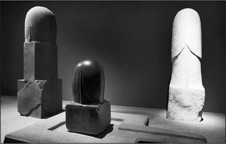 Иллюстрация к книге — Секс, водка, потанцуем? Природа удовольствий [i_003.jpg]