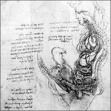 Иллюстрация к книге — Секс, водка, потанцуем? Природа удовольствий [i_006.jpg]