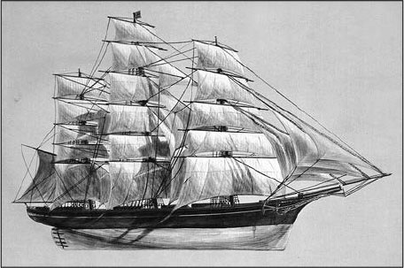 Иллюстрация к книге — Секс, водка, потанцуем? Природа удовольствий [i_035.jpg]