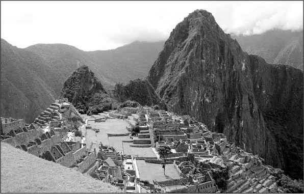 Иллюстрация к книге — Секс, водка, потанцуем? Природа удовольствий [i_040.jpg]